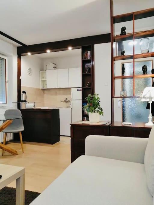 Dorcol Hideaway Apartment Belgrade Luaran gambar